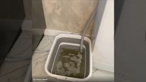 таблетки для очищения стиральной машины