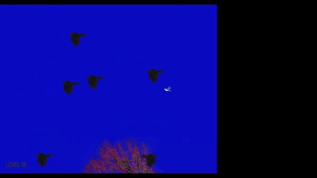 Bird Rush for Android on Google Play смотреть онлайн