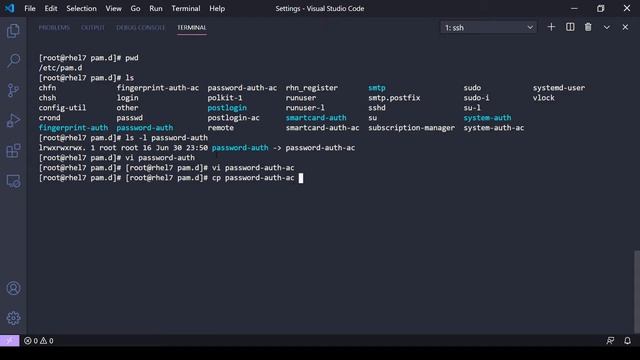 Linux Basics: Using Links to keep PAM persistent смотреть онлайн
