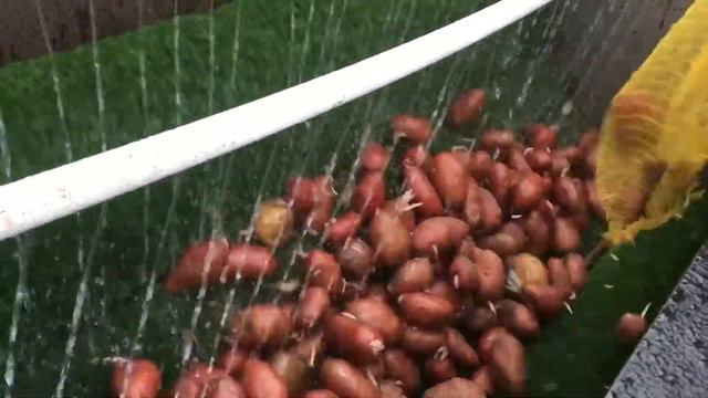 Мойка для овощей смотреть онлайн