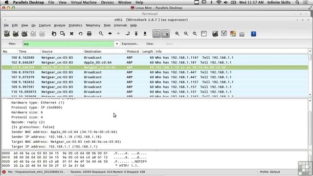 0310 Using ARP смотреть онлайн