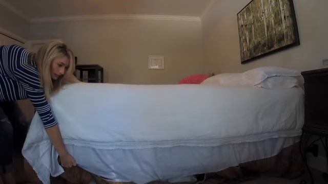 Preparing For Your Bed Bug Treatment смотреть онлайн
