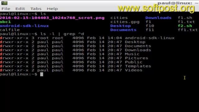 How to list only directories in CentOS смотреть онлайн