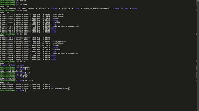 Let's Learn Linux | Lesson 5: More About LS command | Urdu | Hindi смотреть онлайн