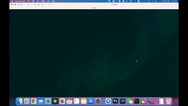 利用vmware fusion安装国产deepin linux系统 смотреть онлайн