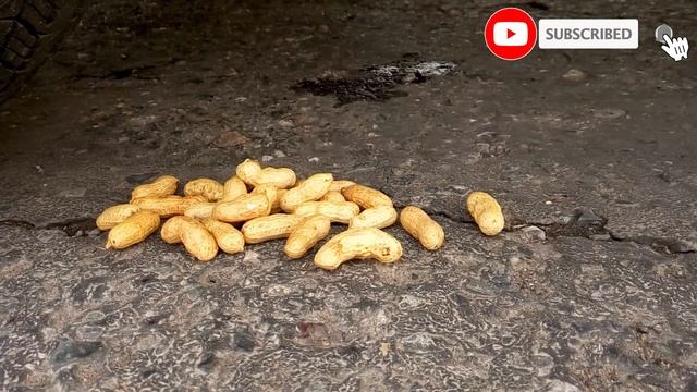 Crushing Crunchy & Soft Things by Car! FOOD, EGGS, APPLE, FRUITS, CHIPS, ORANGE, COCA COLA, SWEETS смотреть онлайн