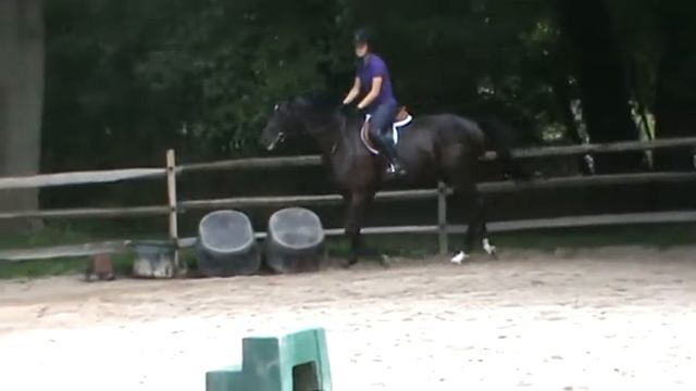 Bentley & Callie #4 - Jumping