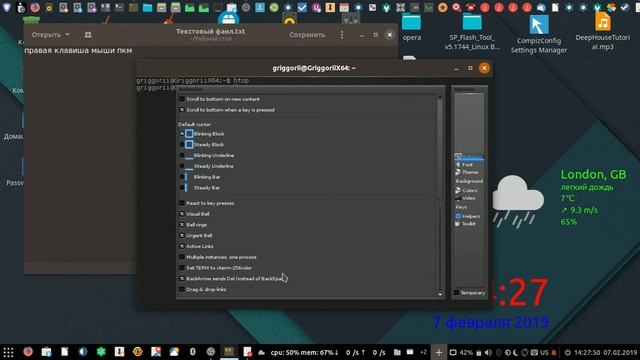 Linux OS 7.0 Ubuntu-Budgie 18.10 про терминал terminology настройки смотреть онлайн