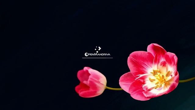 how to install openmandriva os...do not recommend this linux distro смотреть онлайн