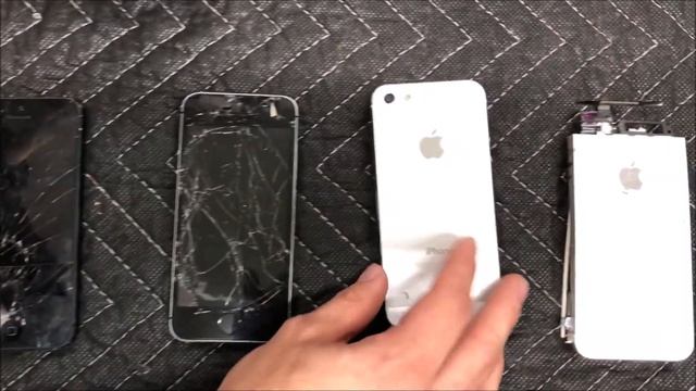 FOUND 13 IPHONES DUMPSTER DIVING! BIGGEST APPLE STORE DUMPSTER DIVE EVER! THE IPHONES WORK!!! смотреть онлайн