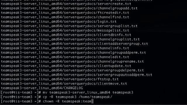 Step 2: TS3 Download, Unpack and Run смотреть онлайн