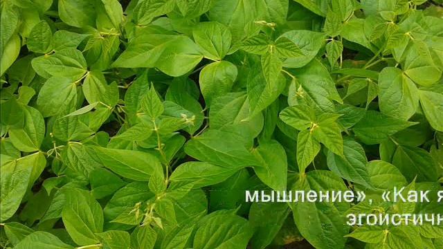 Rihanna - "Four Five Seconds" Lyrics ( Russian Translation ) смотреть онлайн