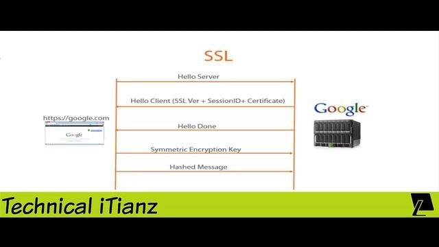 How To Scan Website Using SSL on Kali Linux смотреть онлайн