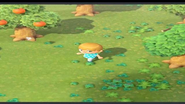 Animal Crossing Yuzu Settings