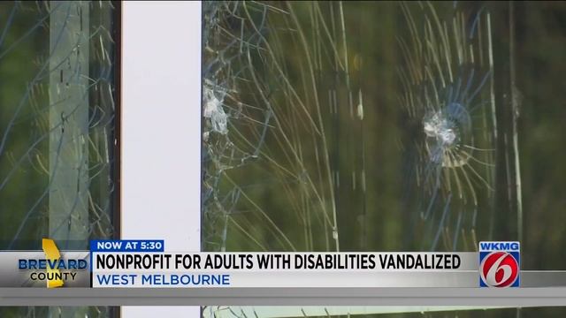 Nonprofit for adults with disabilities vandalized смотреть онлайн