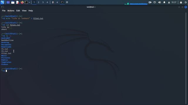 The BASH SHELL - Open-source Operating System смотреть онлайн