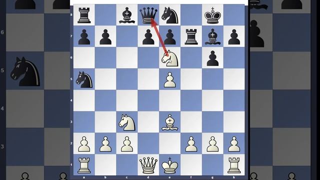Bobby Fischer Trap hunt down Reshevsky Queen on 10th move смотреть онлайн