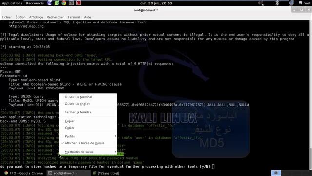 hack site web with kali linux using sqlmap смотреть онлайн