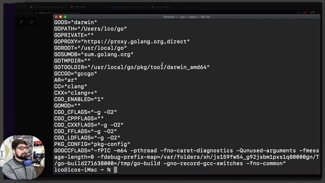 Installation of golang and first code | Go programming language смотреть онлайн