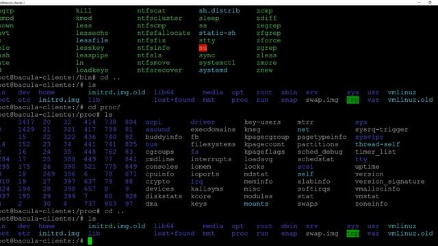 Explicando os principais diretórios do Linux Ubuntu Server - Para iniciantes parte3 смотреть онлайн