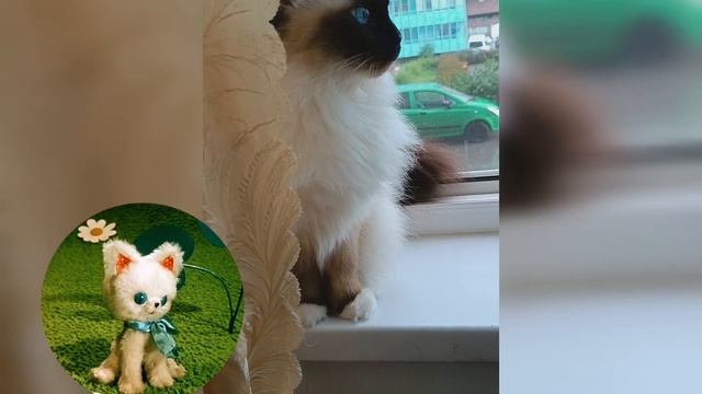 Как стать большим и мокрым! смотреть онлайн