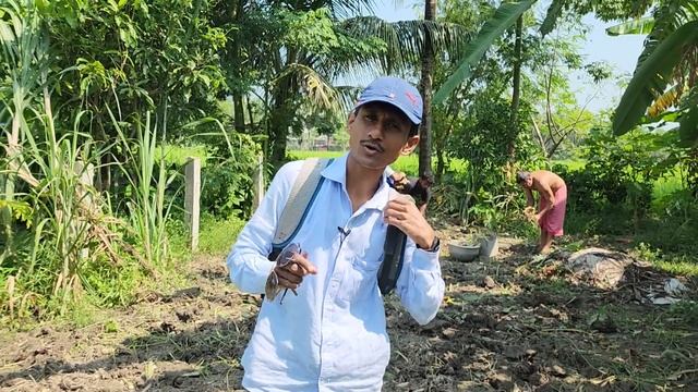 Construction Of 500 Pairs Small Bird Breeding Farm Started. смотреть онлайн