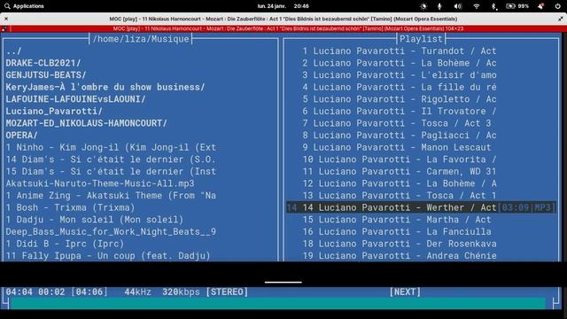 MOC(Music On Console player) on Linux смотреть онлайн