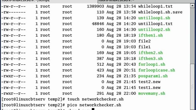 LCBT BASH 022 Network Checker смотреть онлайн