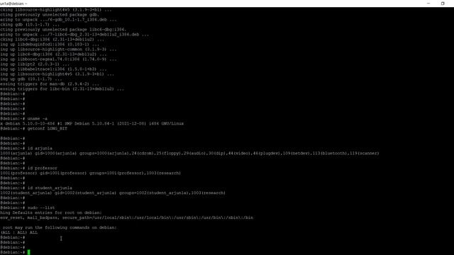 Successful Installation - Debian смотреть онлайн