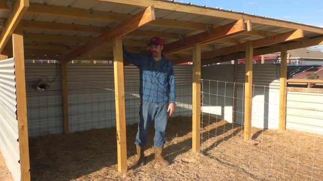 Is this a safe and secure Sheep Nursery? смотреть онлайн