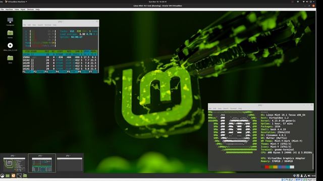 Linux Mint 19.1: What it Actually Looks Like смотреть онлайн
