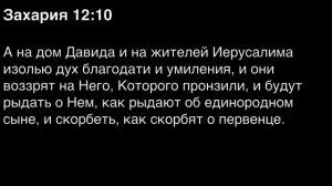 День 257. Библия за год. С митрополитом Иларионом.