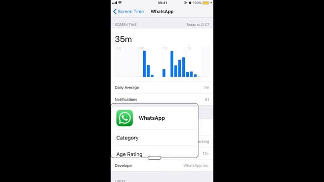 iOS 12 Analytics + Screen Time смотреть онлайн