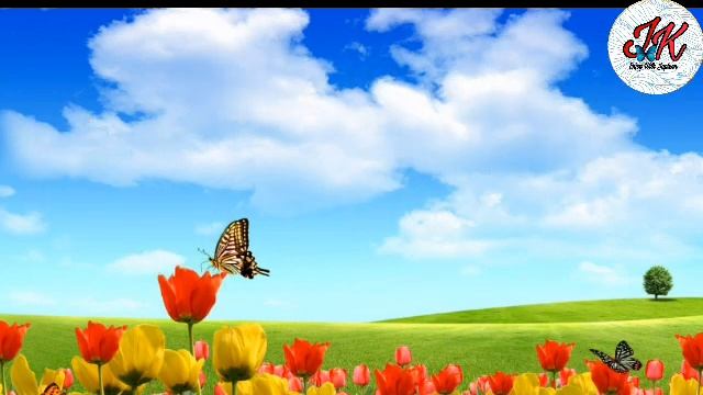 A For Apple B for ball c for cat। English Alphabet For Kids। Abcd। A for Apple New vidio। смотреть онлайн