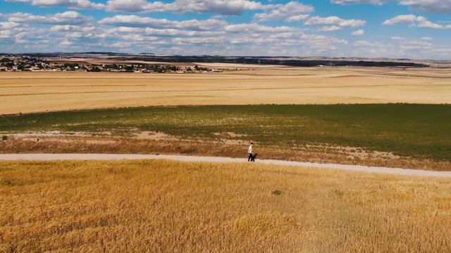 Siksilk Advertisement Project 4k | Mavic Air iPhone XS Max | Maxy | @adrii_snchz смотреть онлайн