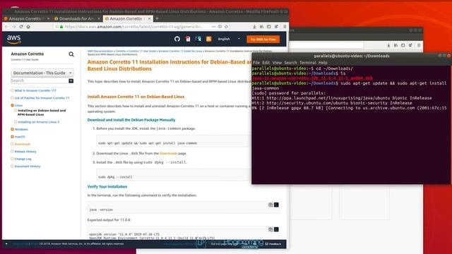 Install JDK 11 for Linux смотреть онлайн