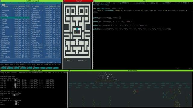 Full Linux console and programming. смотреть онлайн