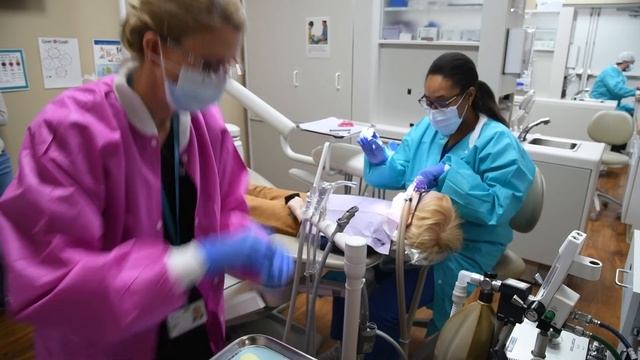 Chesapeake Health Care - Top-Notch Dental Providers смотреть онлайн