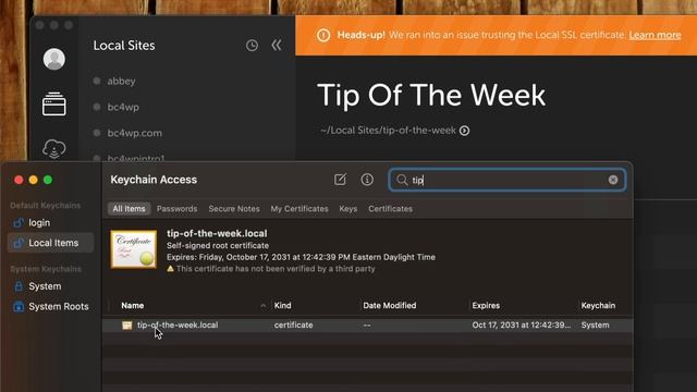 Setting Up SSL in Local смотреть онлайн