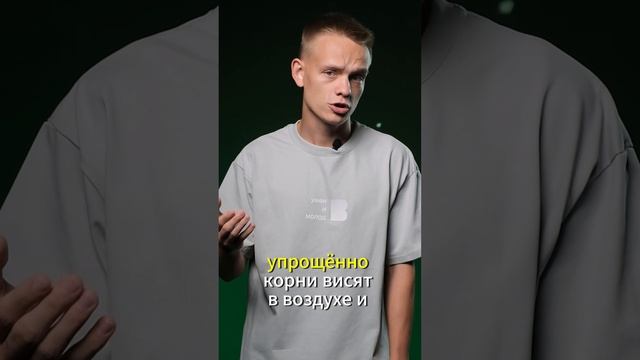 Зелень, которую ты ешь, на самом деле выросла не в почве, а в воздухе! 🌱💨#наука