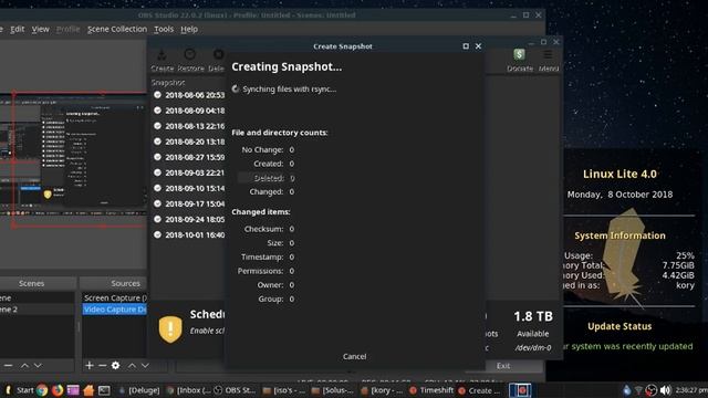 How to Update Linux (Updating my Linux Lite -Ubuntu based operating System смотреть онлайн
