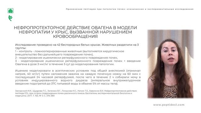 Применение пептидов при патологии почек: клинические и экспериментальные исследования смотреть онлайн