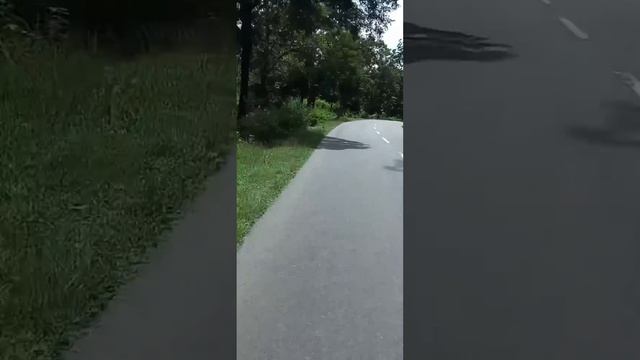 Kerala Wayanad Https://maps.apple.com/?address=Pulpally%20Sultan%20Bathery%20Highway,%20Wayanad