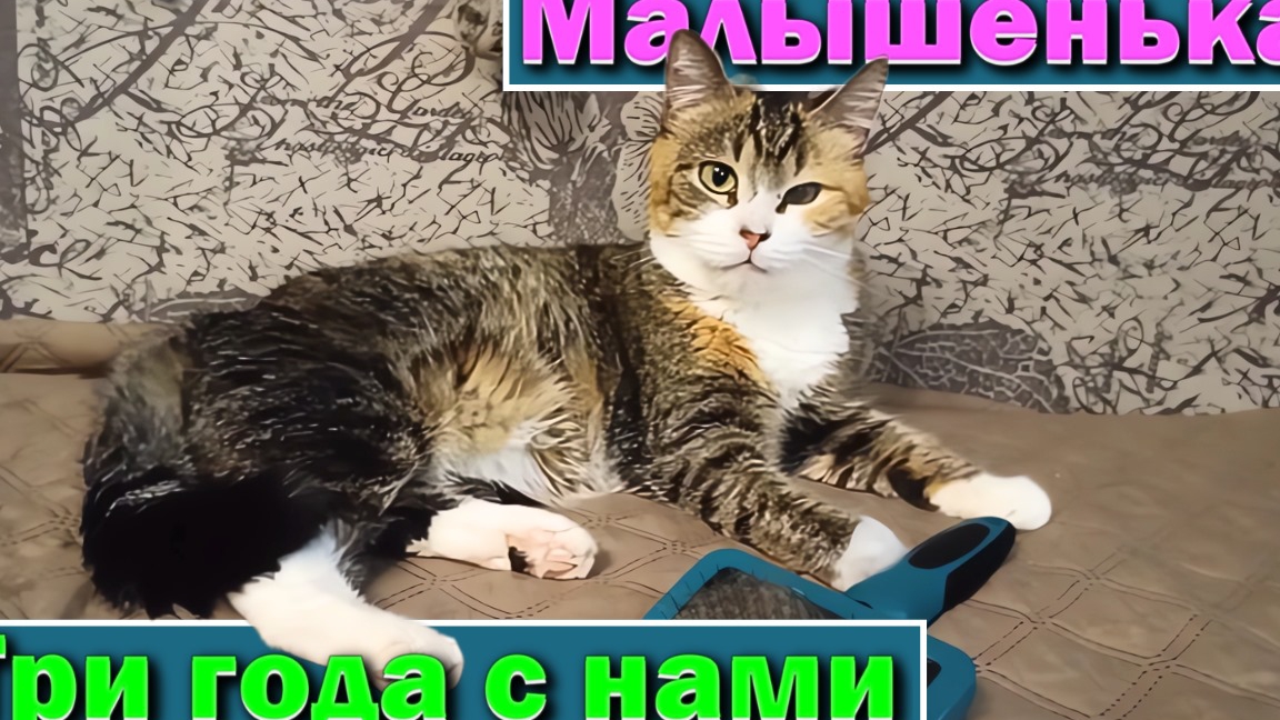 Малышенька. Три года с нами. смотреть онлайн