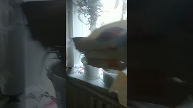 Дракон НаМбЭрЬ Ту