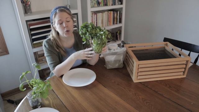 How to Dry Your Own Herbs смотреть онлайн