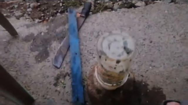 biday or balsi o holly basil...mabisang gamit pang trap sa mga insek katulad ng fruit flies. смотреть онлайн