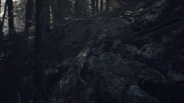 Blair Witch (1440p High) Gameplay Walkthrough With Vega64 OC Part 2 - No Commentary смотреть онлайн