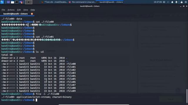 BANDIT | Learning Linux | Overthewire Lvls 1-8 смотреть онлайн