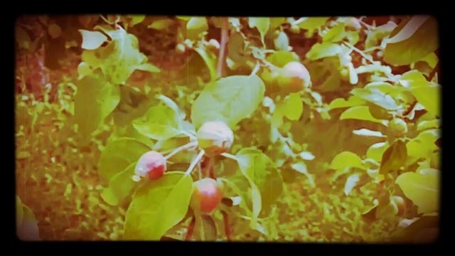 Adam's Apple Dance (Original instrumental) смотреть онлайн